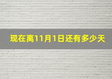 现在离11月1日还有多少天