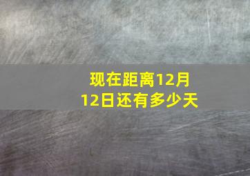 现在距离12月12日还有多少天