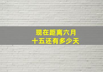 现在距离六月十五还有多少天