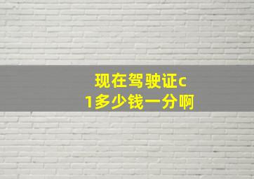 现在驾驶证c1多少钱一分啊