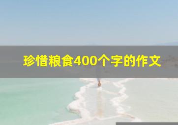 珍惜粮食400个字的作文