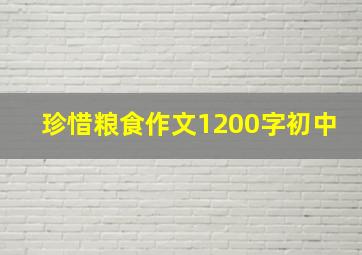 珍惜粮食作文1200字初中