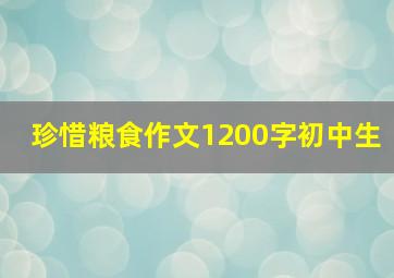 珍惜粮食作文1200字初中生