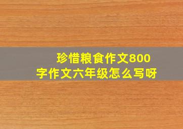 珍惜粮食作文800字作文六年级怎么写呀