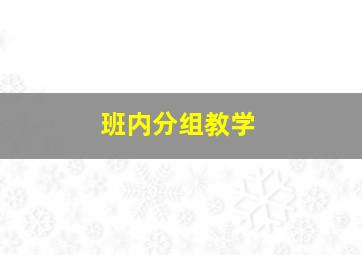 班内分组教学