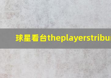 球星看台theplayerstribune