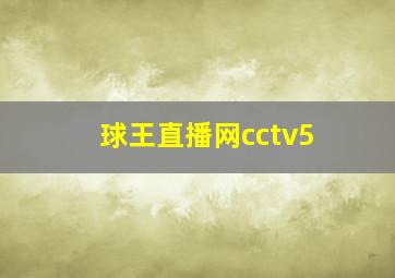 球王直播网cctv5