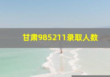 甘肃985211录取人数