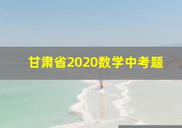 甘肃省2020数学中考题