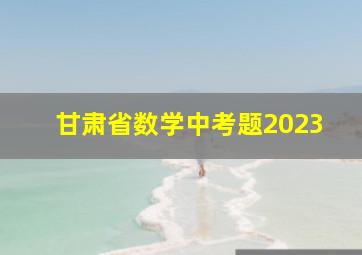 甘肃省数学中考题2023