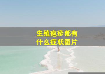 生殖疱疹都有什么症状图片