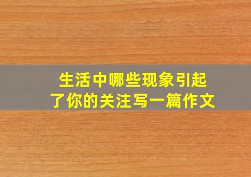 生活中哪些现象引起了你的关注写一篇作文