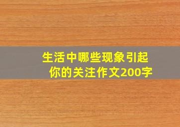 生活中哪些现象引起你的关注作文200字