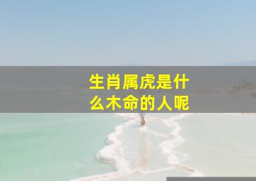 生肖属虎是什么木命的人呢