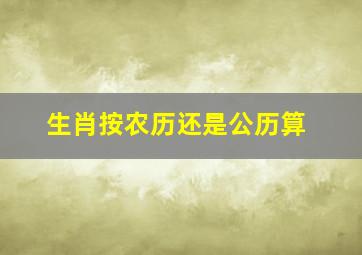 生肖按农历还是公历算