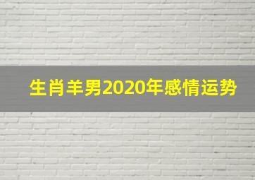 生肖羊男2020年感情运势