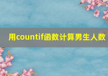 用countif函数计算男生人数