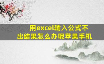 用excel输入公式不出结果怎么办呢苹果手机