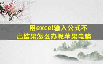 用excel输入公式不出结果怎么办呢苹果电脑