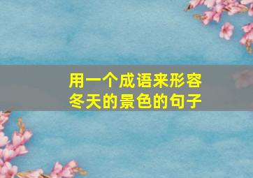 用一个成语来形容冬天的景色的句子