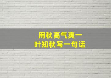 用秋高气爽一叶知秋写一句话