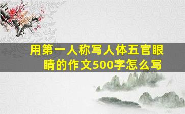 用第一人称写人体五官眼睛的作文500字怎么写