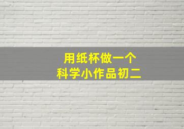 用纸杯做一个科学小作品初二