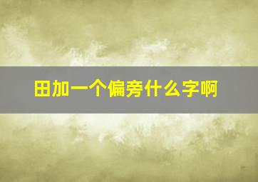 田加一个偏旁什么字啊