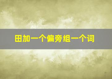 田加一个偏旁组一个词