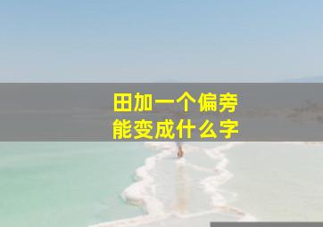 田加一个偏旁能变成什么字