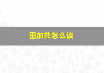 田加共怎么读