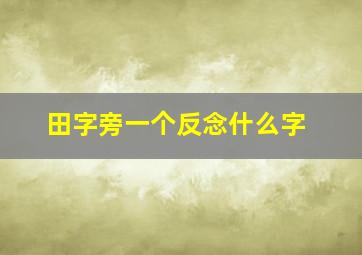 田字旁一个反念什么字