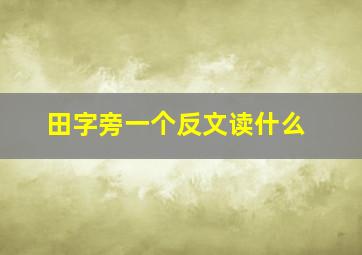 田字旁一个反文读什么