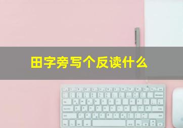 田字旁写个反读什么