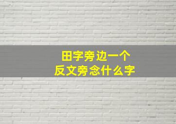 田字旁边一个反文旁念什么字