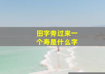 田字旁过来一个寿是什么字