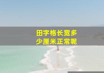 田字格长宽多少厘米正常呢