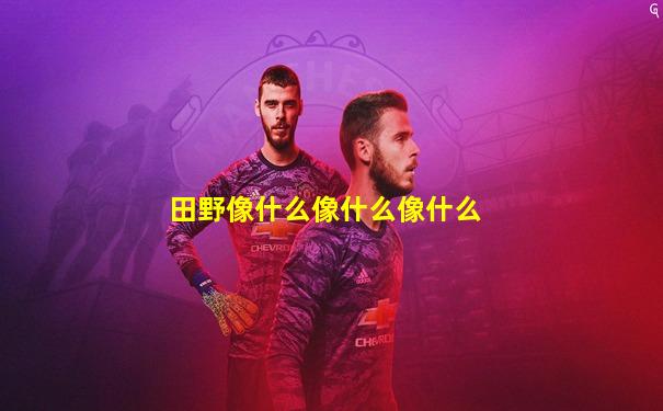 田野像什么像什么像什么