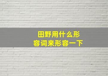 田野用什么形容词来形容一下