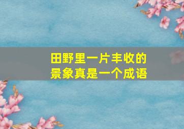 田野里一片丰收的景象真是一个成语