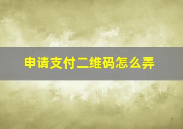 申请支付二维码怎么弄