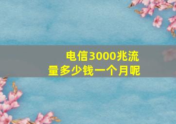 电信3000兆流量多少钱一个月呢