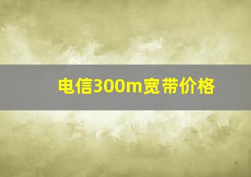 电信300m宽带价格