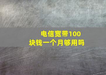 电信宽带100块钱一个月够用吗