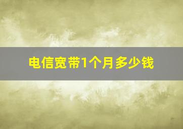 电信宽带1个月多少钱