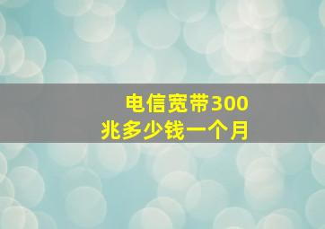 电信宽带300兆多少钱一个月