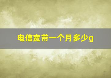 电信宽带一个月多少g