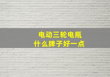 电动三轮电瓶什么牌子好一点