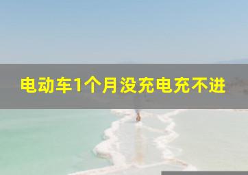 电动车1个月没充电充不进