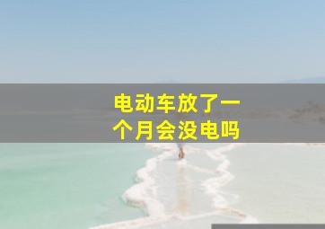 电动车放了一个月会没电吗